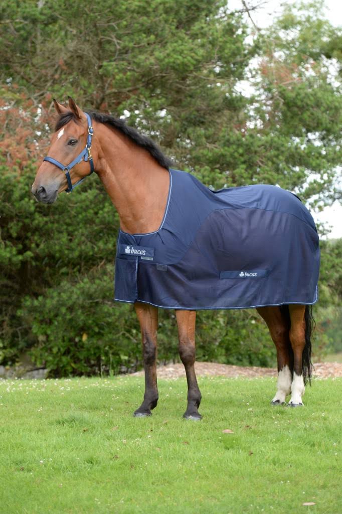 Bucas Competition Cooler Navy
