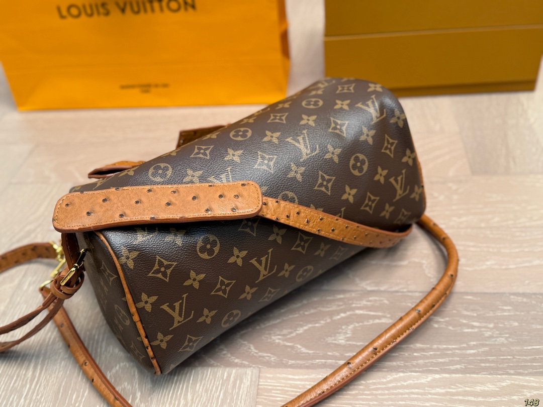 LV Speedy Soft Bag - cnluxepick
