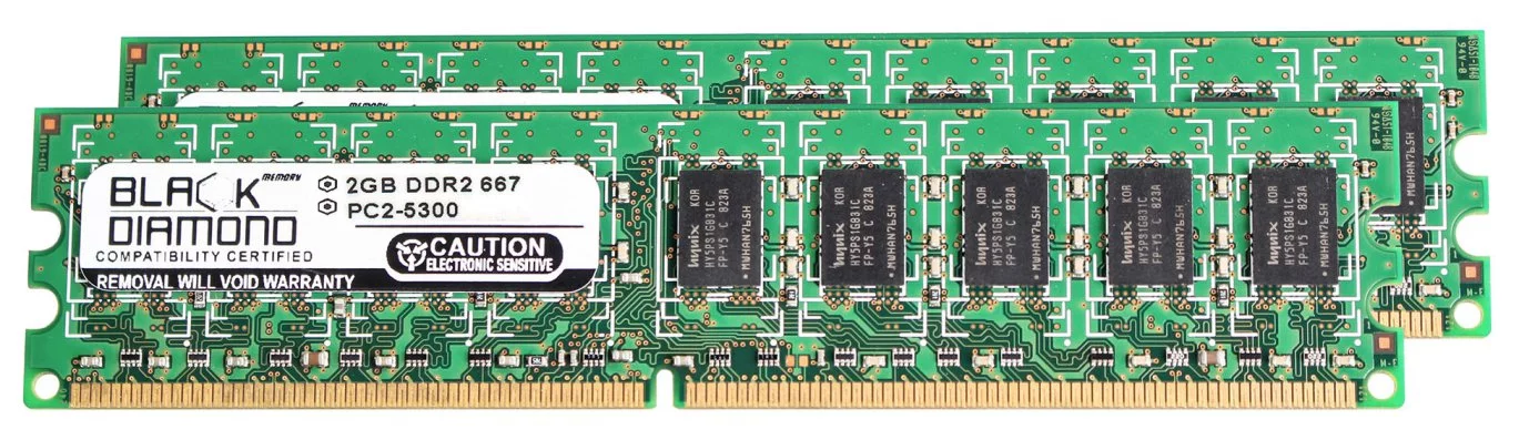 4GB 2X2GB Memory RAM for Apple Power Mac G5 (Quad 2.5GHz DDR2) 240pin PC2-5300 667MHz DDR2 ECC UDIMM Black Diamond Memory Module Upgrade