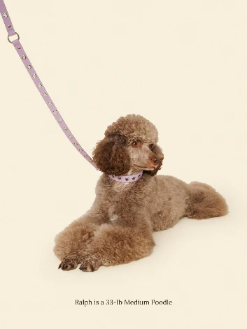 You Mean the World to Me- Lilac