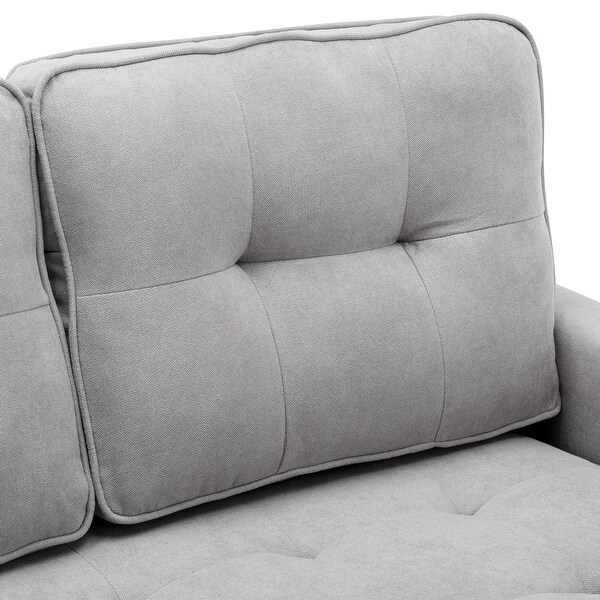 Loveseat Sofa with PullOut Bed