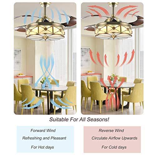 Moooni 36 inch Reversible Retractable Ceiling Fan with Lights and Remote Dimmab
