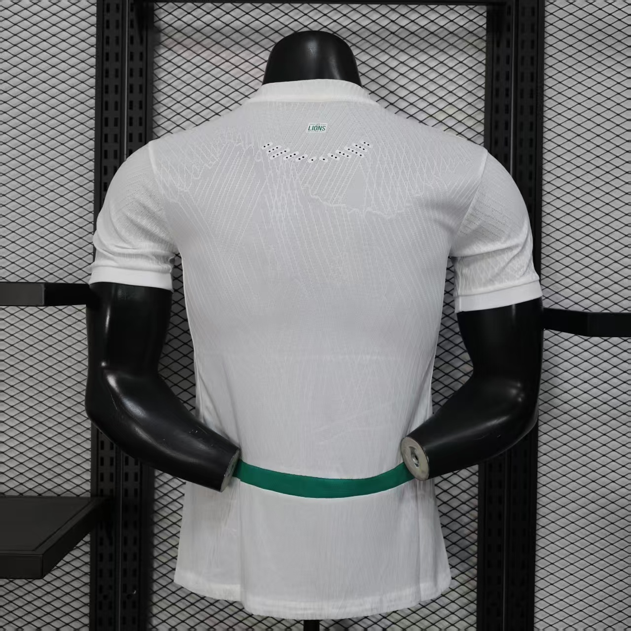 Senegal 25/26 Double Stars Home Player Version