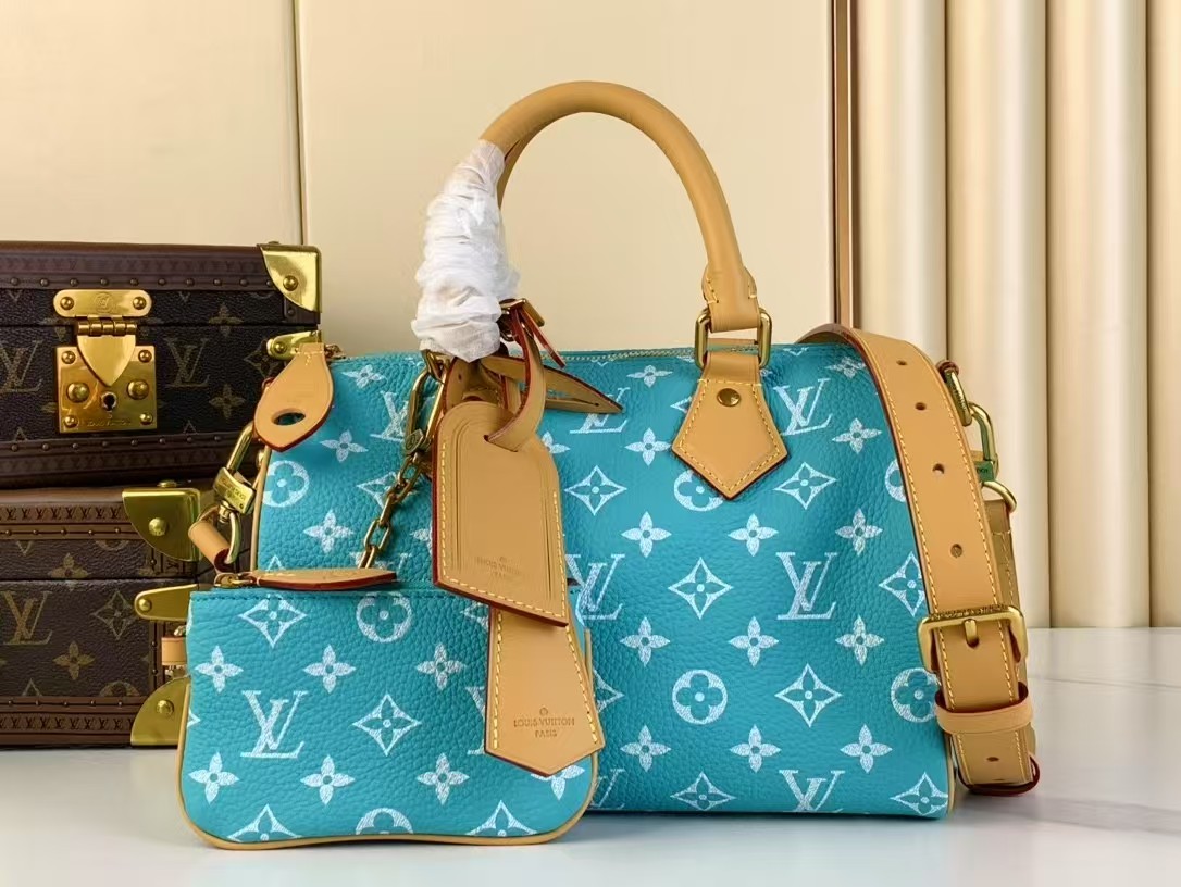 Top version speedy p9 bandouliere25 monogram handbag - cnluxepick