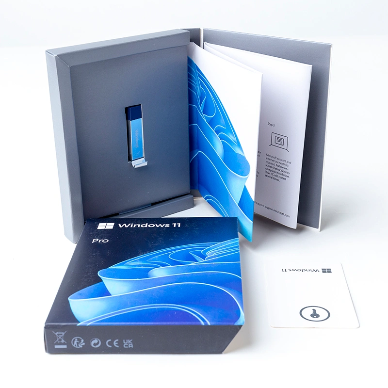 Windows 11 PRO  FPP USB Box