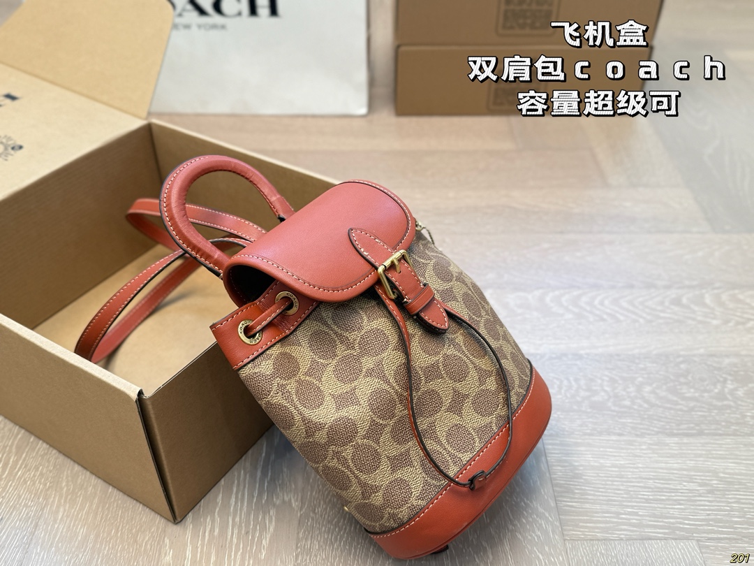 Coach backpack for everyday wear - cnluxepick