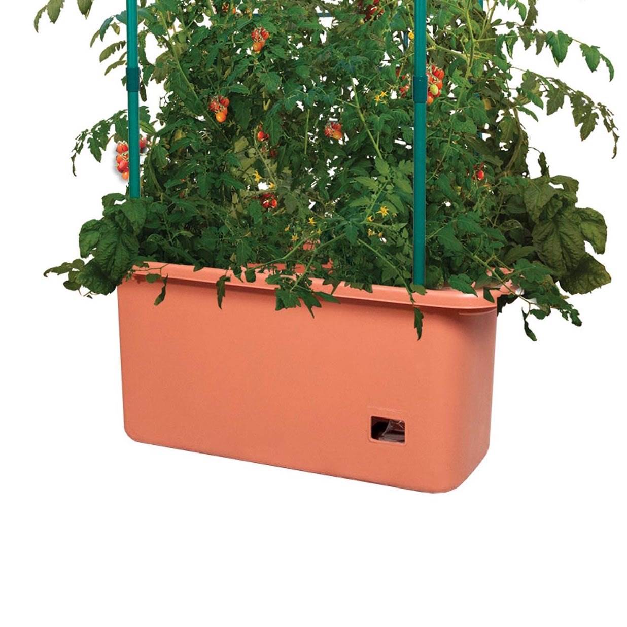 Hydrofarm GCTR 10 Gal Tomato Garden Planting System and 4′ Trellis Tower on Wheels