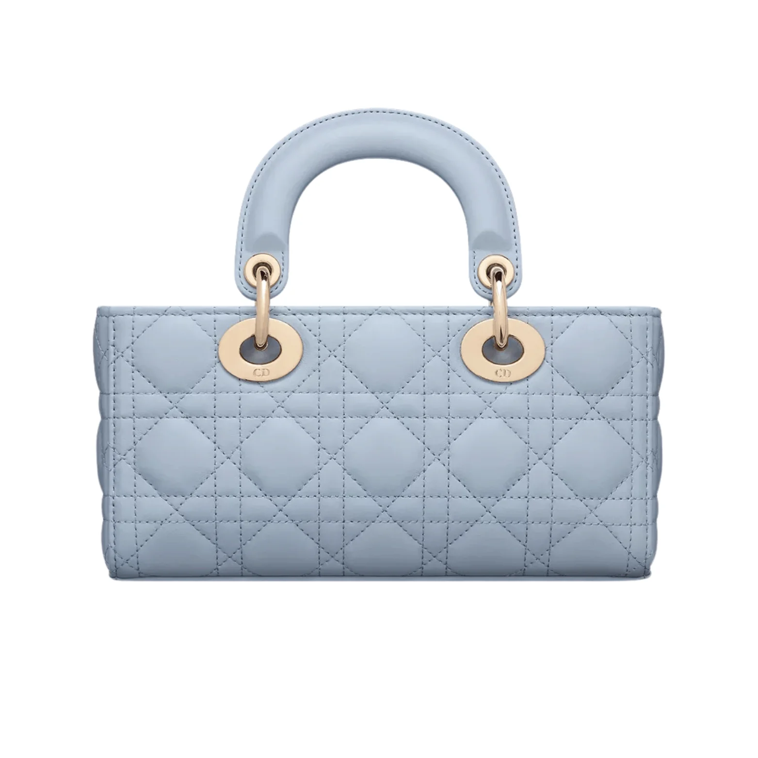 Dior Bag | Lady D-joy