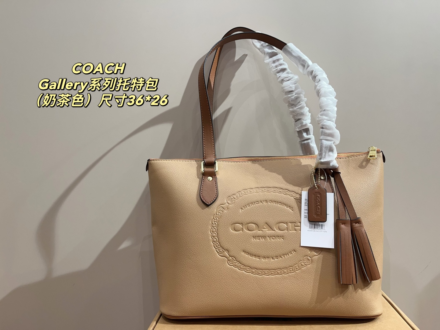 Coach Gallery Series Tote Bag - cnluxepick