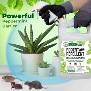 Mighty Mint Gallon (128 oz.) Rodent Natural Peppermint Oil Spray RG-128