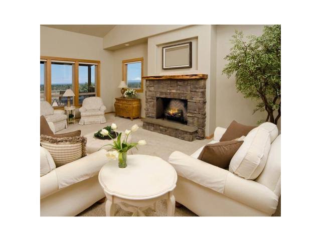 Dimplex - RLG20 - Revillusion 20x22 Electric Log Set