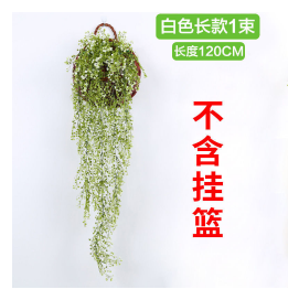 Golden Bell Willow