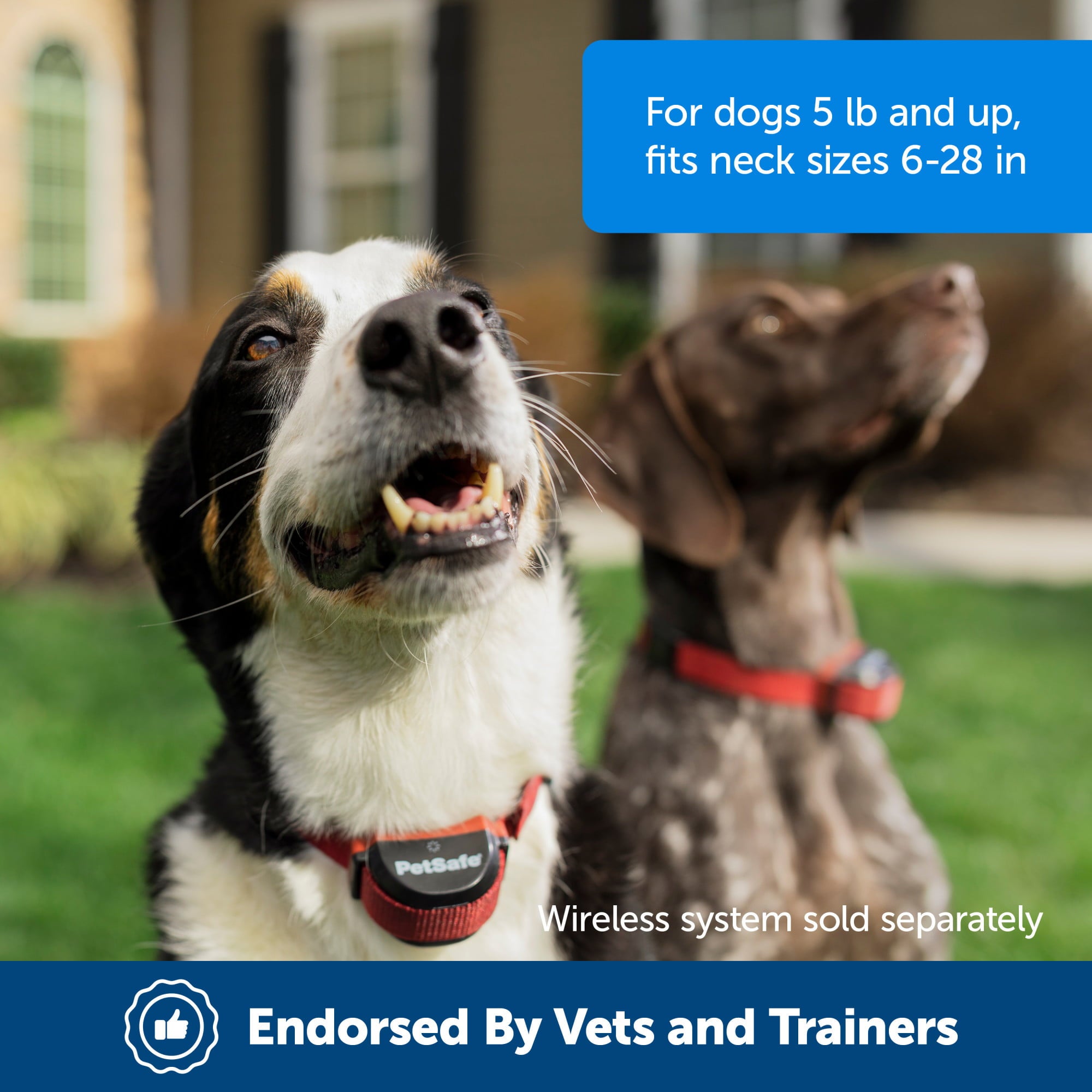 PetSafe Stubborn Dog Stay and Play Wireless Fence Receiver Collar, Waterproof, Rechargeable