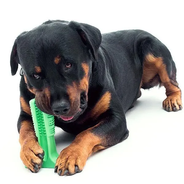 Teeth Cleaning Dog Toothbrush & Chew Toy