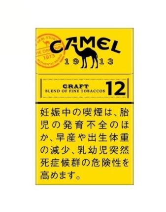 Camel Craft 12