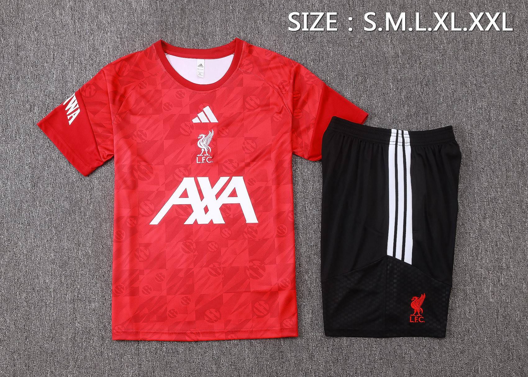 LVP 26/27 Short Sleeves Training Suit J26053 5