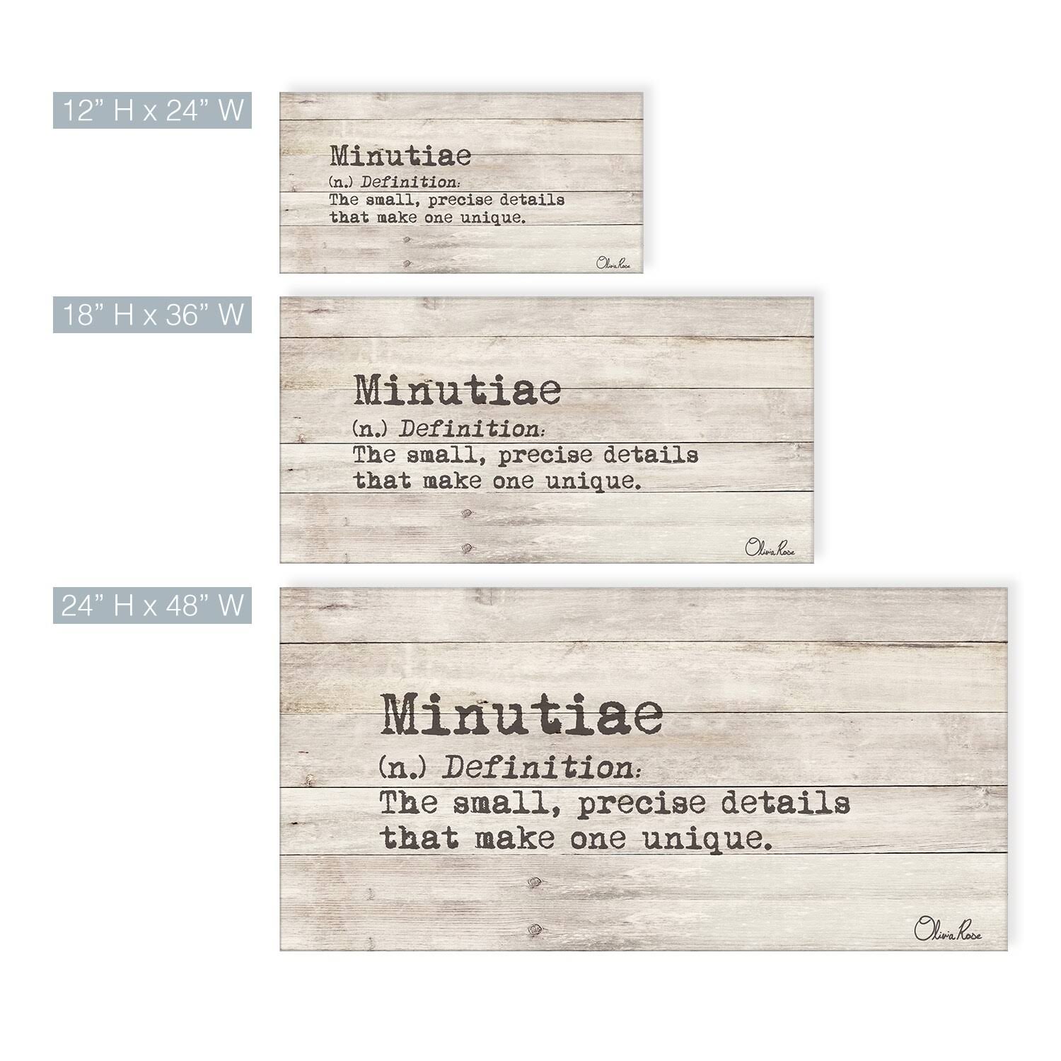 Olivia Rose &Define Minutiae& Inspirational Textual Canvas Art - 36x22 W x 18x22 H