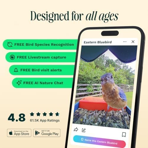 Solar Smart Bird Feeder with Camera – AI Bird Species Identification, 5MP Photos, 2K HD Video Live Stream Camera, Slow-Motion Video, 2.6in Focus – Blue Solar