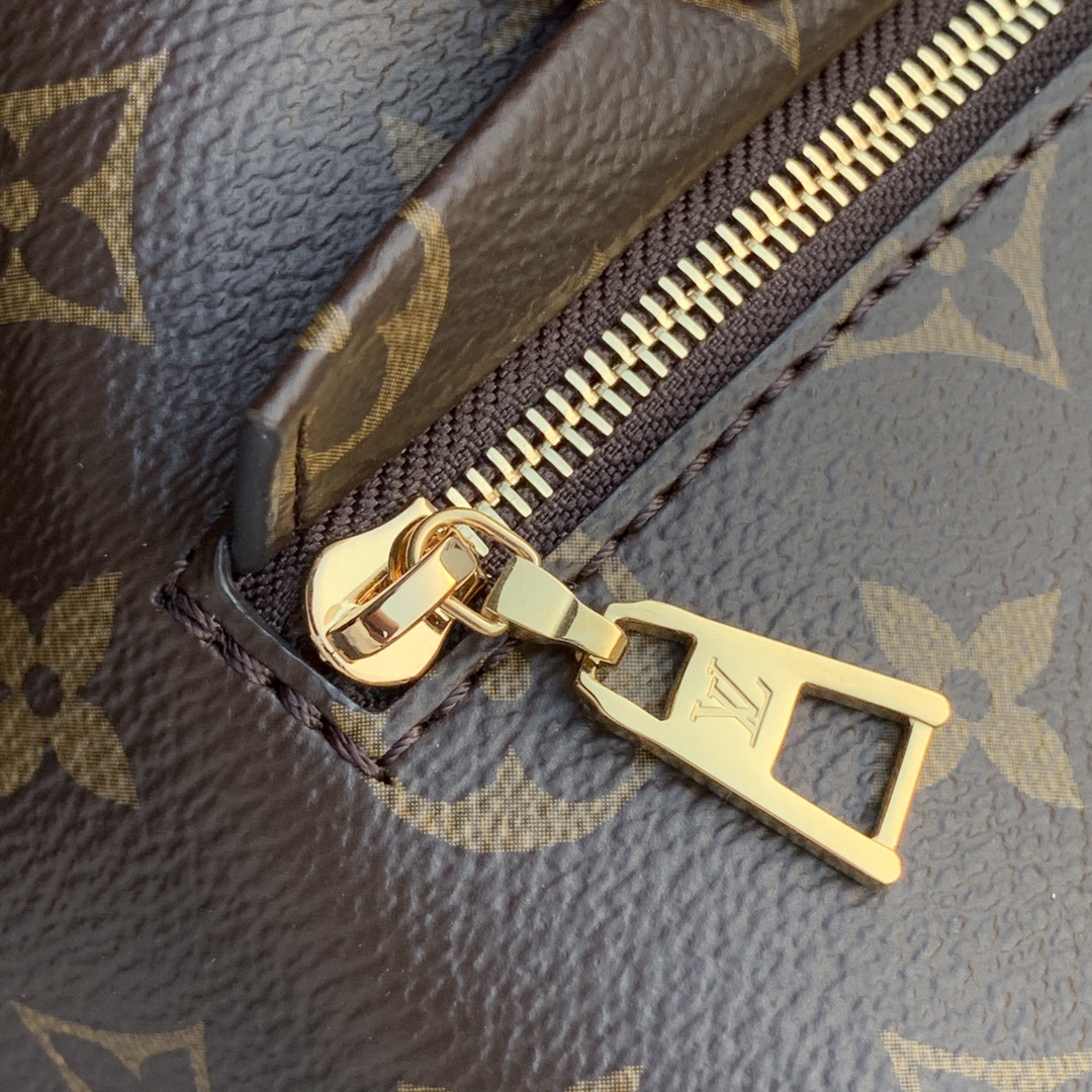 Louis Vuitton Montsouris Pm 27Cm M45515