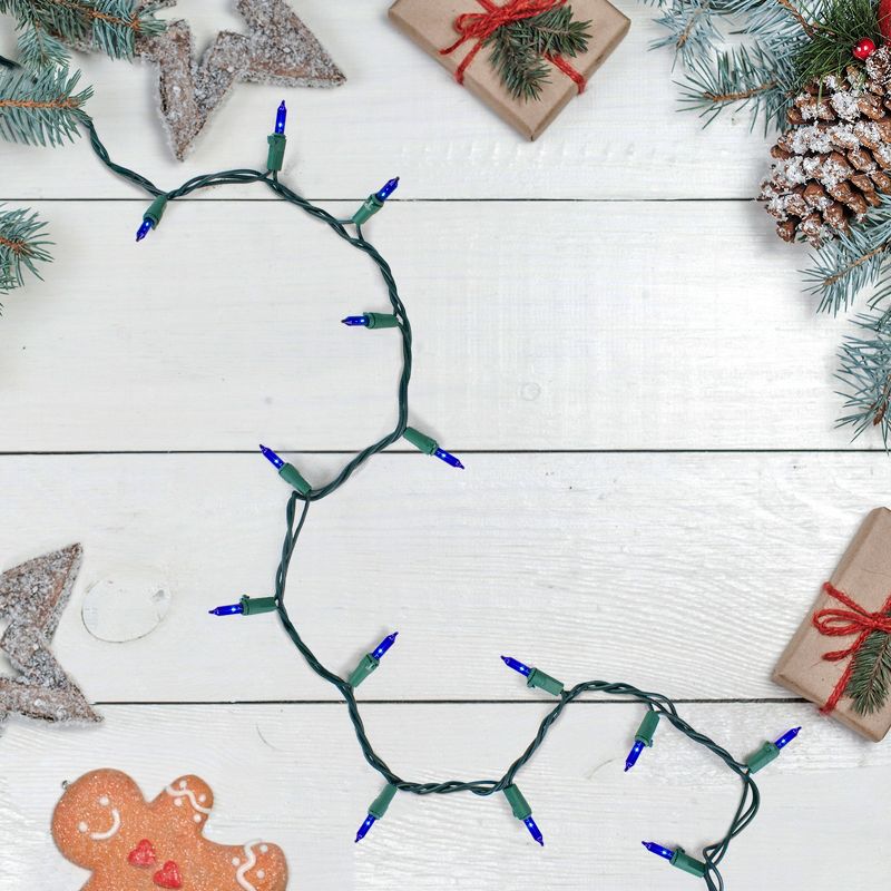 Northlight Mini Incandescent Christmas Lights - Blue - 10' Green Wire - 50ct
