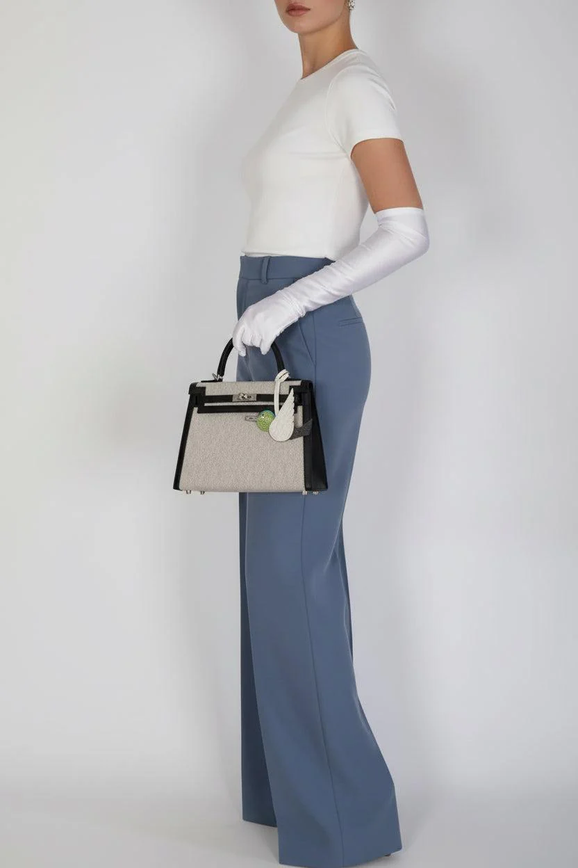 Hermès Kelly 25 Sellier Toile H Noir Swift Palladium Hardware