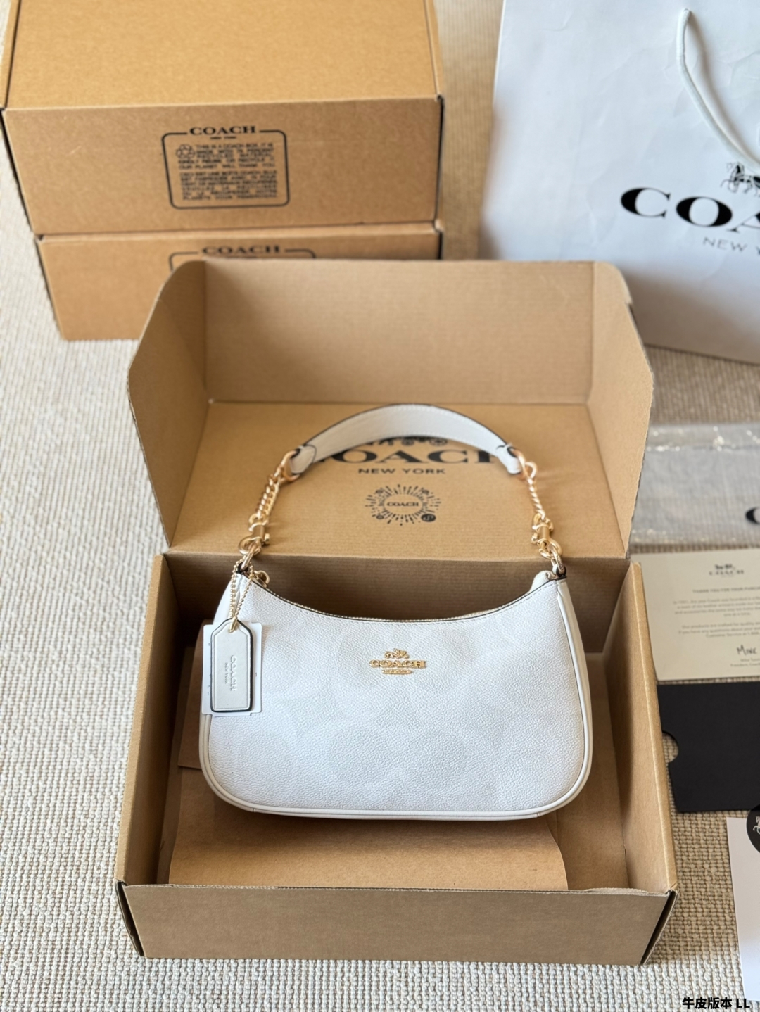 Coach Teri series armpit bag - cnluxepick