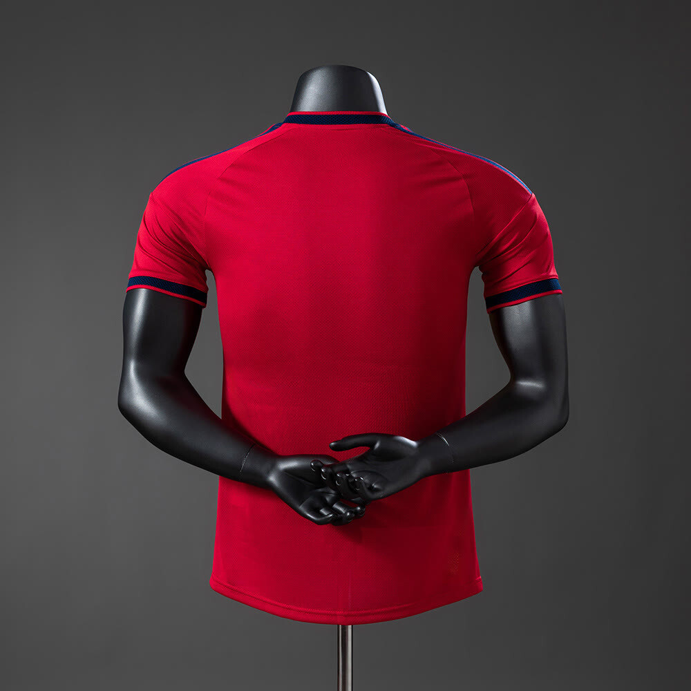 Spain 2026 Special Edition Player Version Jersey