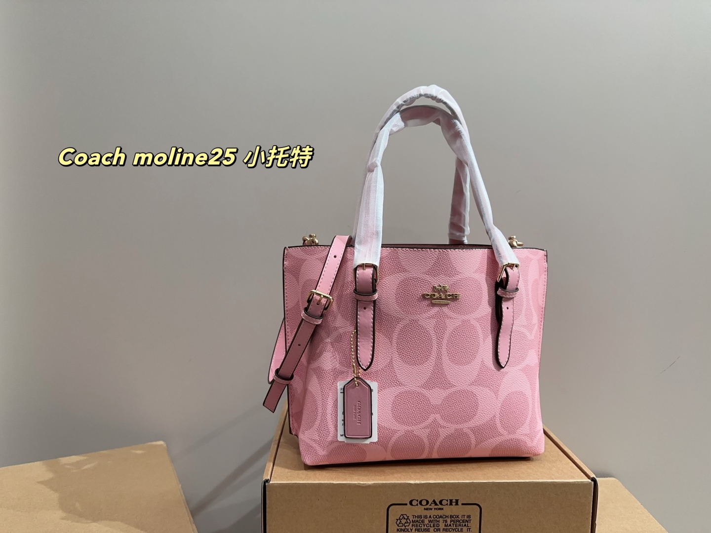 Coach moline25 small tote - cnluxepick