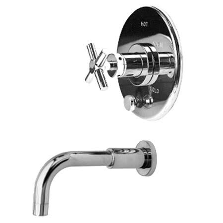 Newport Brass East Linear 4-992BP/03N Pressure Balanced Tub u0026 Shower Trim - Uncoated Polished Brass