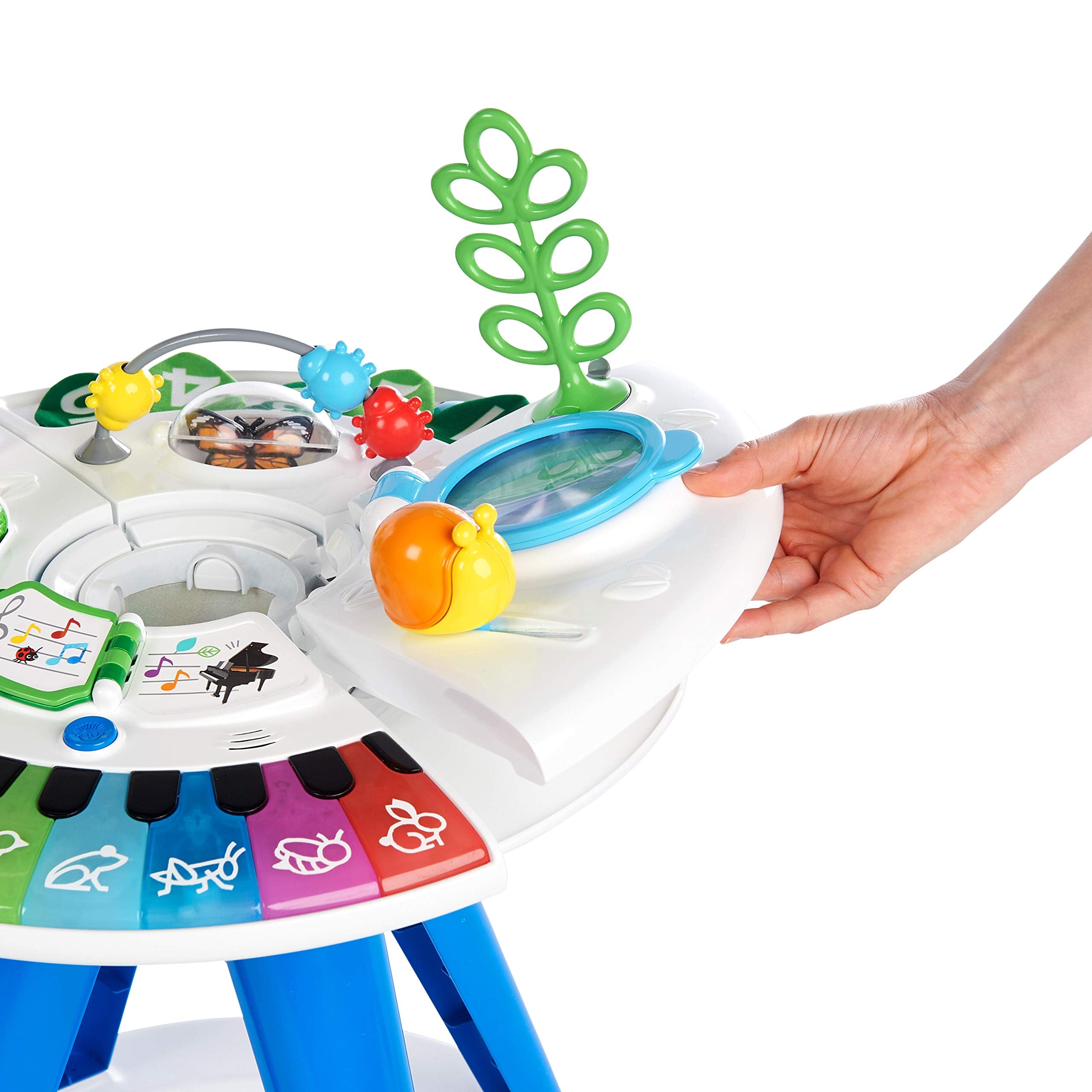 Baby Einstein Around Discovery Activity