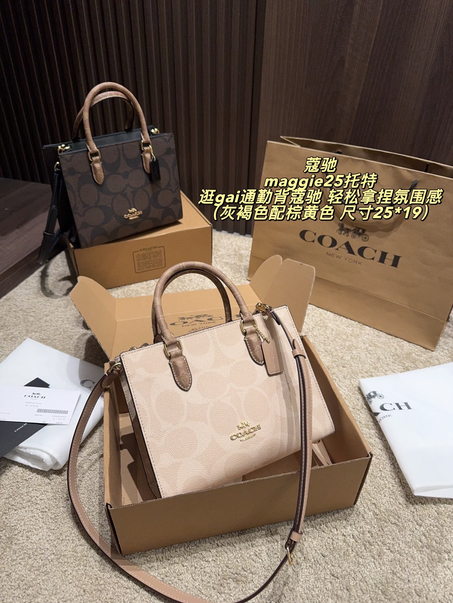 Coach Maggie 25 Tote Bag - cnluxepick