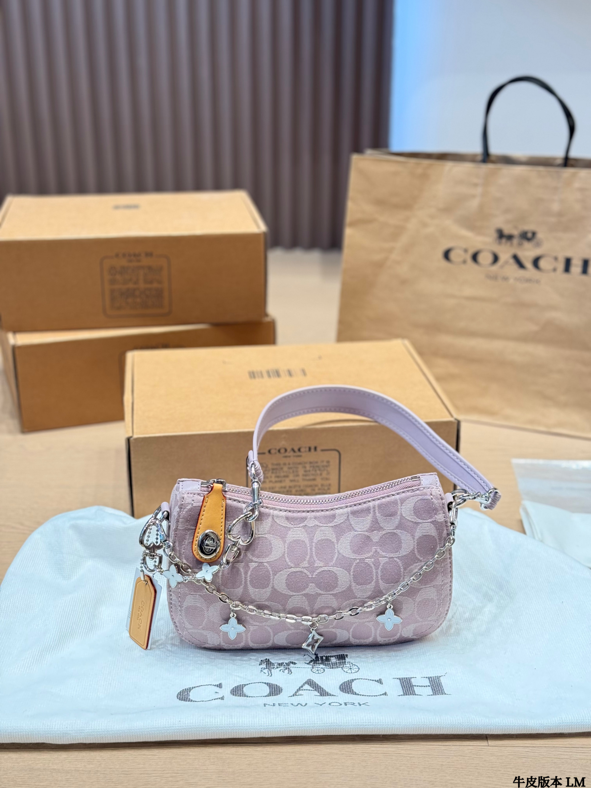 Coach Teri underarm bag - cnluxepick