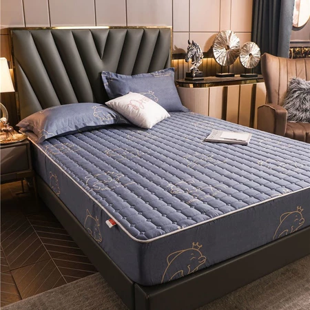 Cadar Set Queen/King Fitted Bedsheet With Cotton Anti Slip Mattress Cover Ready Stock