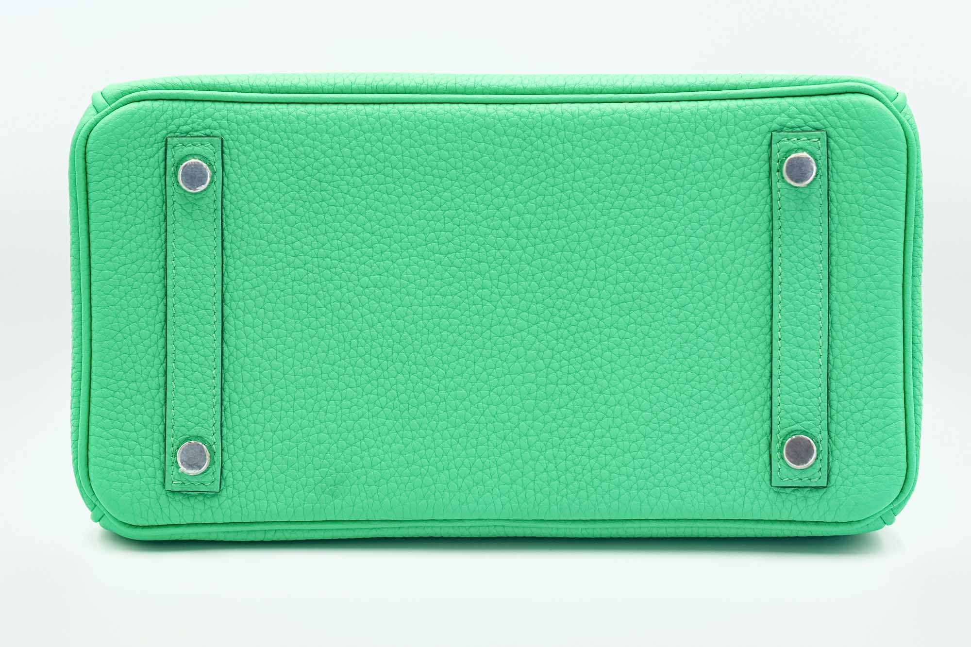 Hermès Touch Birkin 25 Vert Comics Matte Alligator and Togo Palladium Hardware