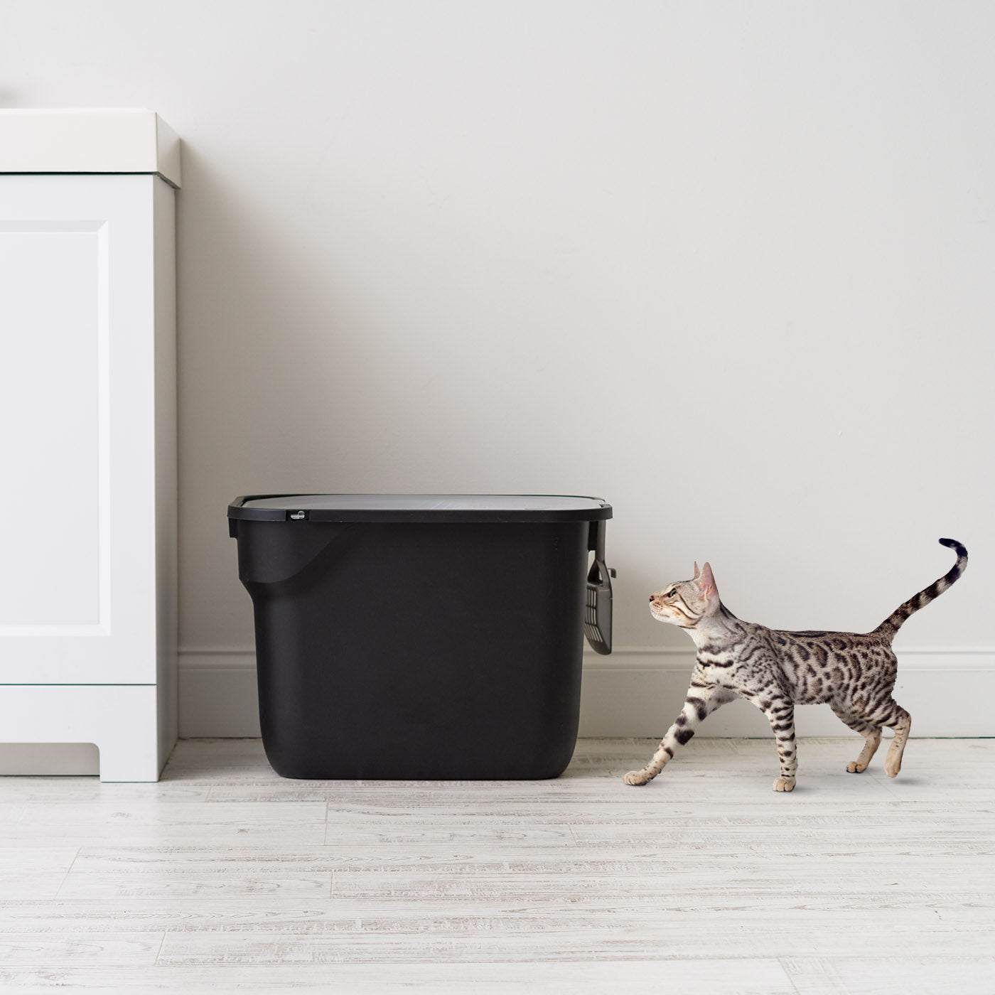 IRIS USA Top Entry Cat Litter Box with Scoop