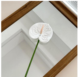 Artificial Anthurium Flowers
