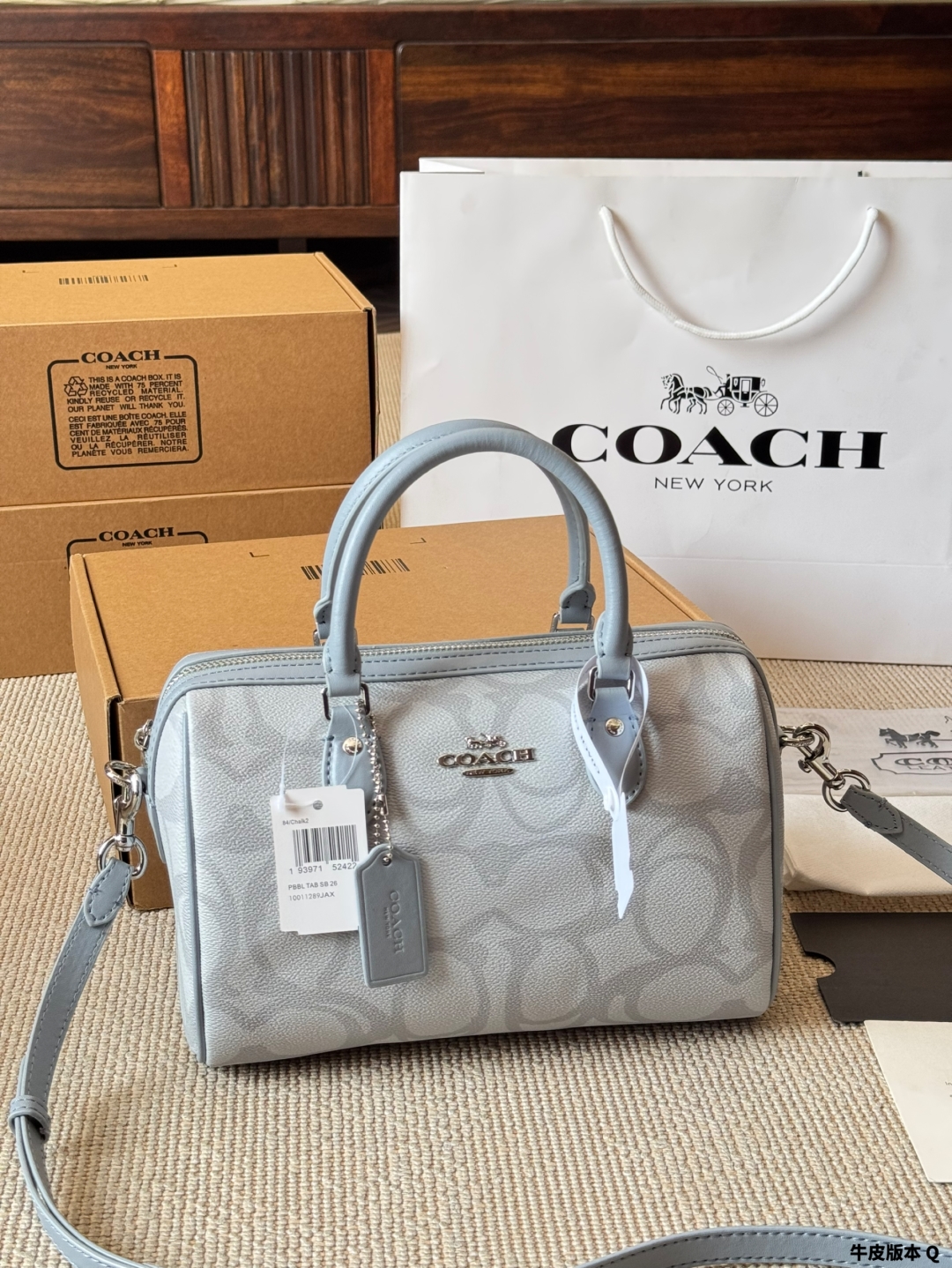 Coach Rowan new pillow bag - cnluxepick
