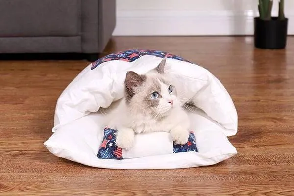 Comfy Kitty Sleeping Bag