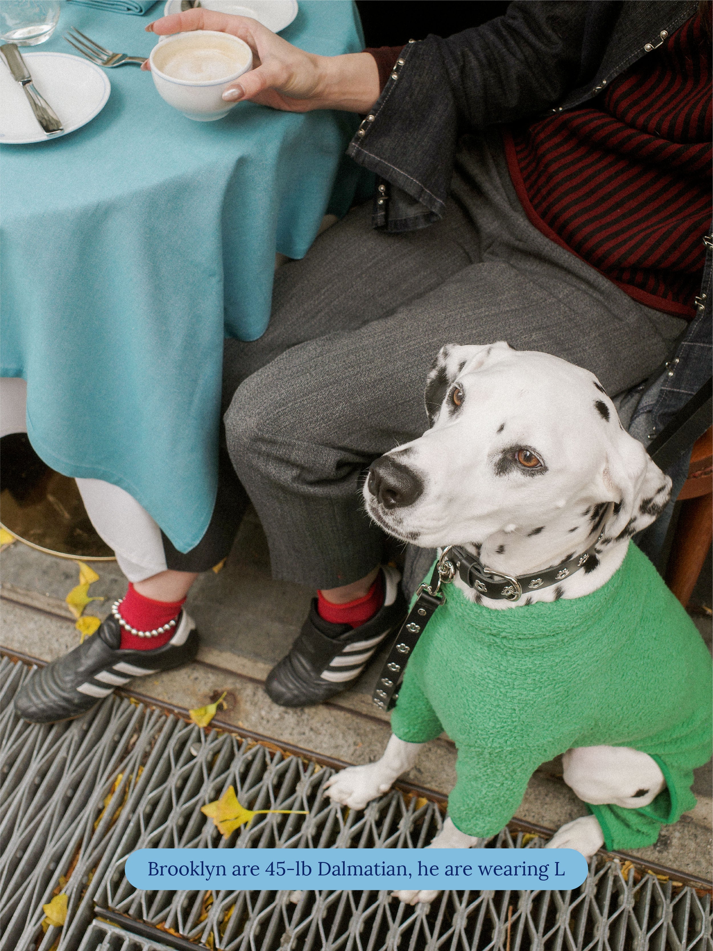 Midnight - Flower Power Collar