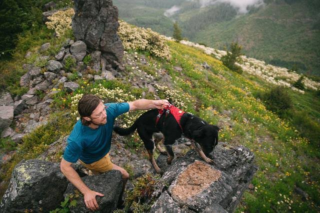 Ruffwear - Flagline Harness - Large - XL - Red Rock