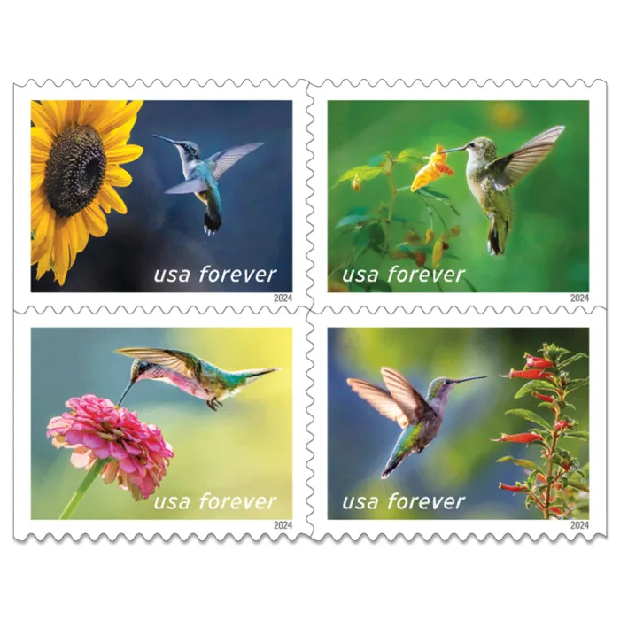 Garden Delights 2024