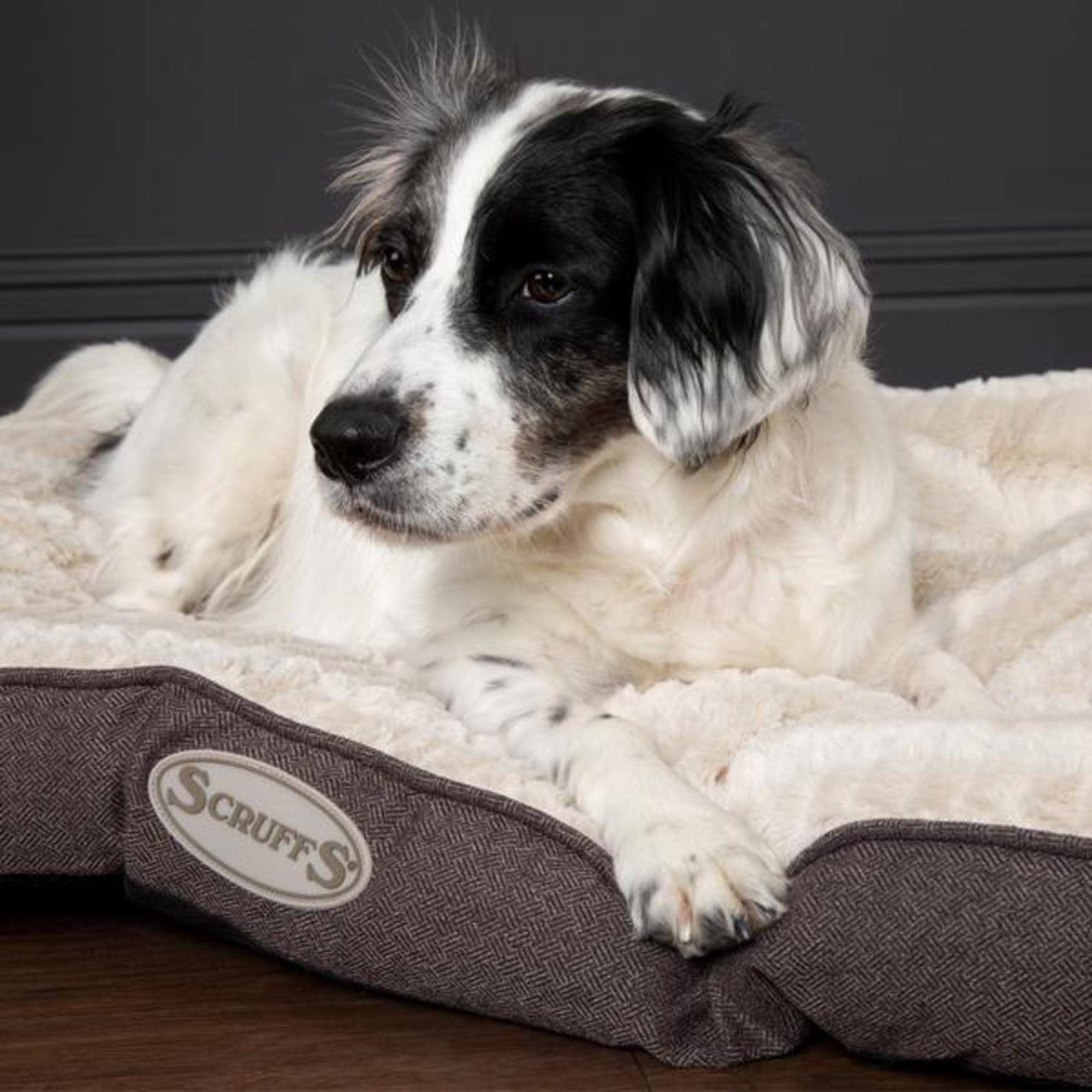 Scruffs Ellen Large Dog Mattress - Gray