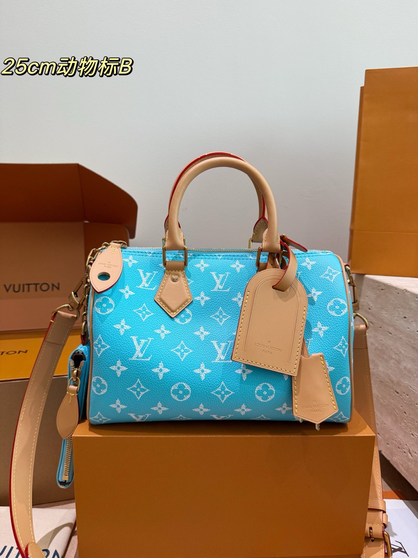 LV Speedy P39 handbags - cnluxepick