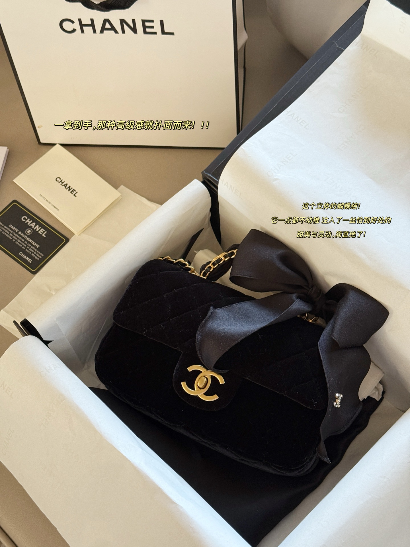Chanel 25k Bow Handle CF Mini Bag - cnluxepick