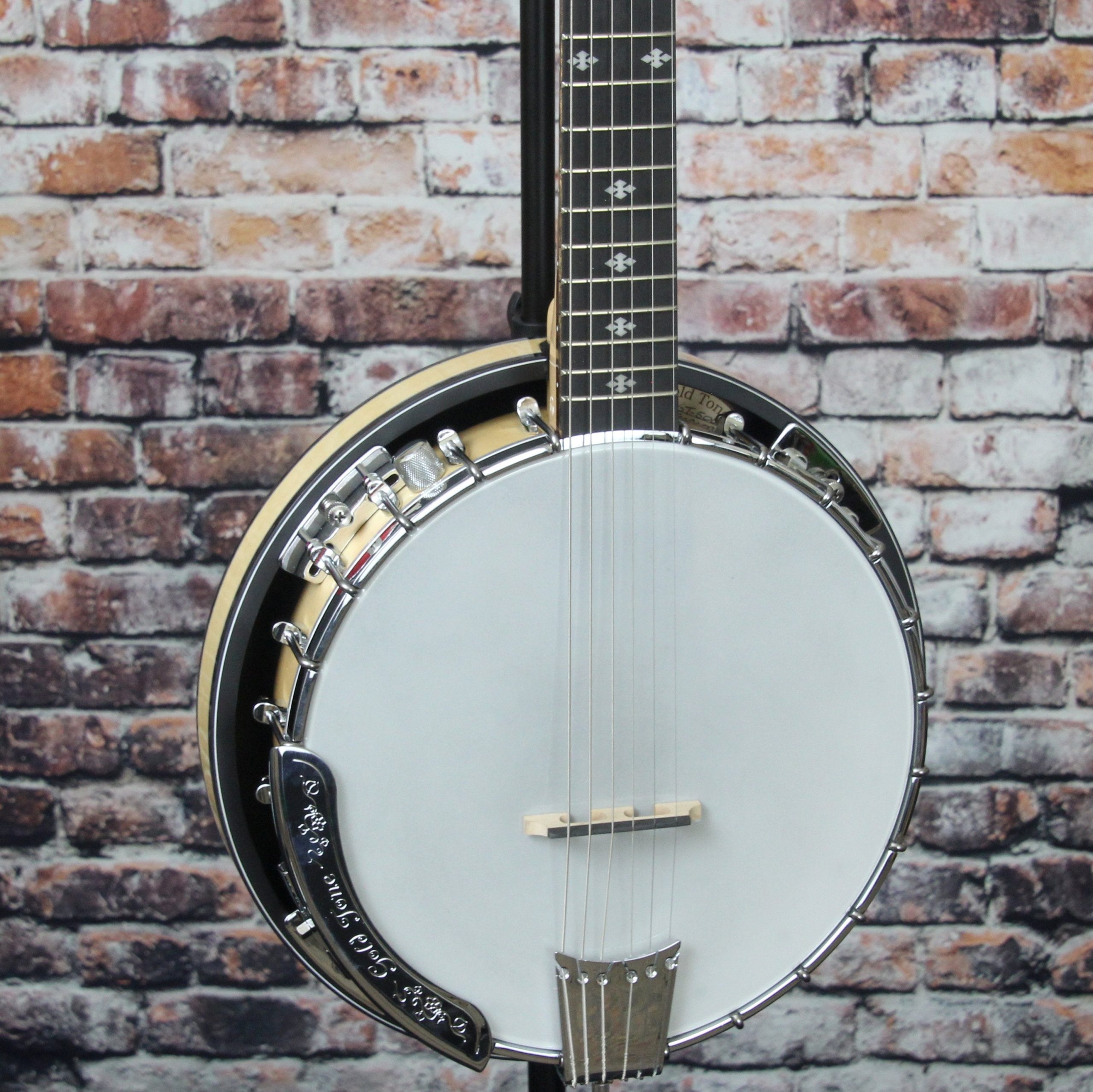 g Gold Tone GT-500 Professional 6-String Banjitar