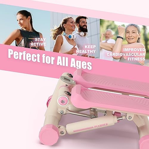 FLYBIRD Stepper for Exercise, Portable Stair Stepper with Resistance Bands for Full Body Workout