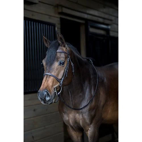 Gatsby Leather Company Fancy Snaffle Bridle, Brown