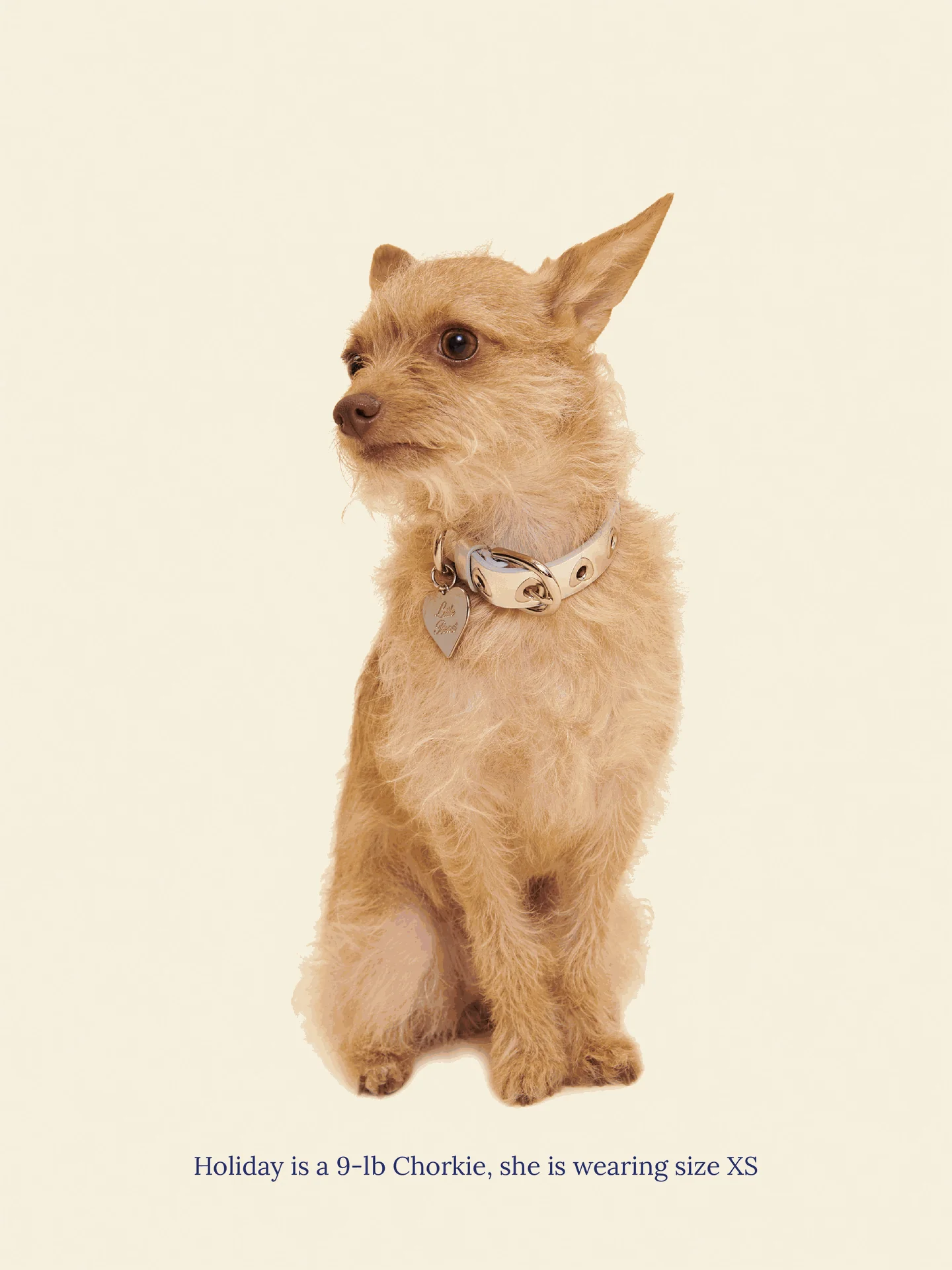 You Mean The World To Me Collar - Silver
