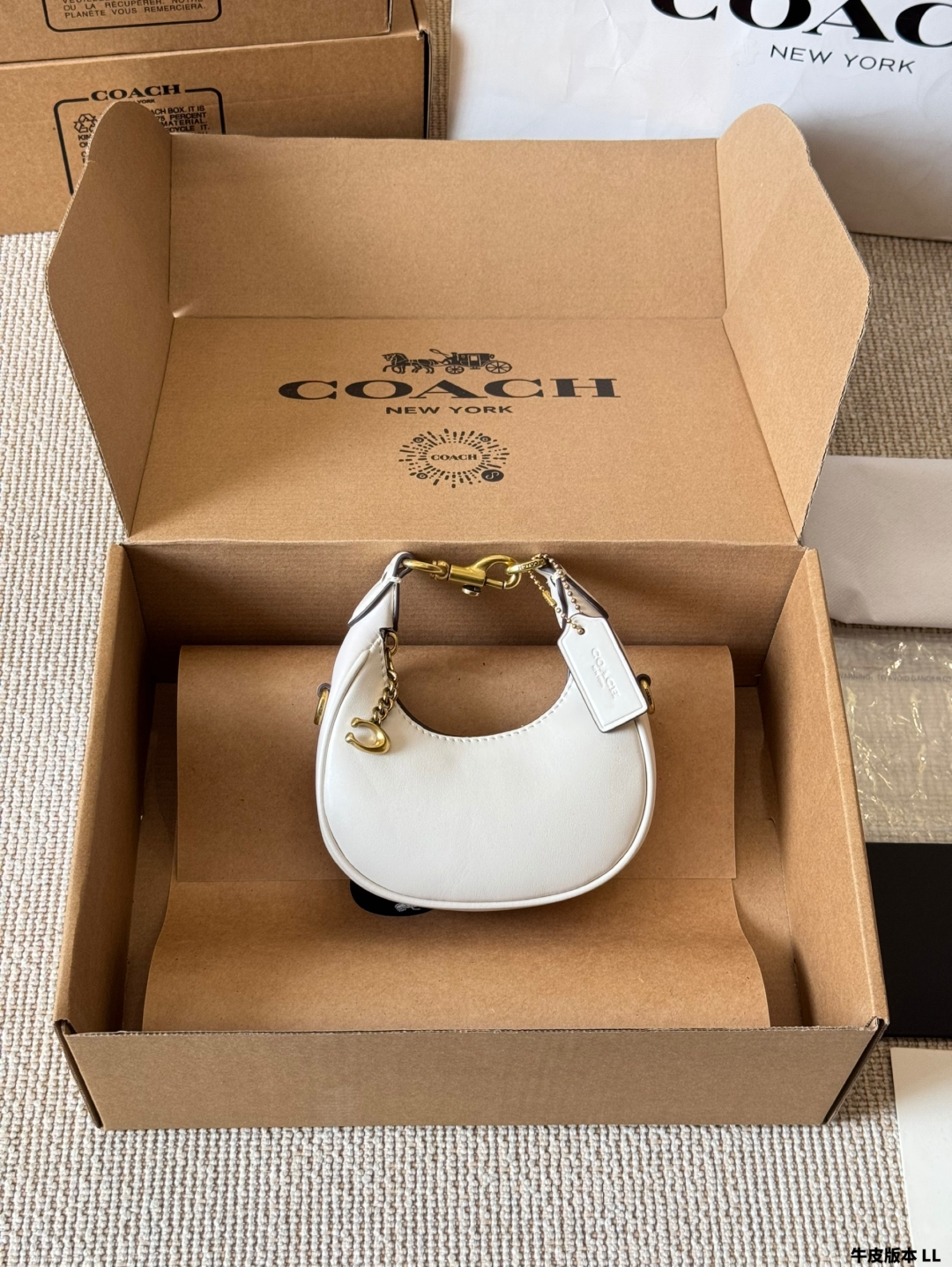 COACH mini crescent bag - cnluxepick