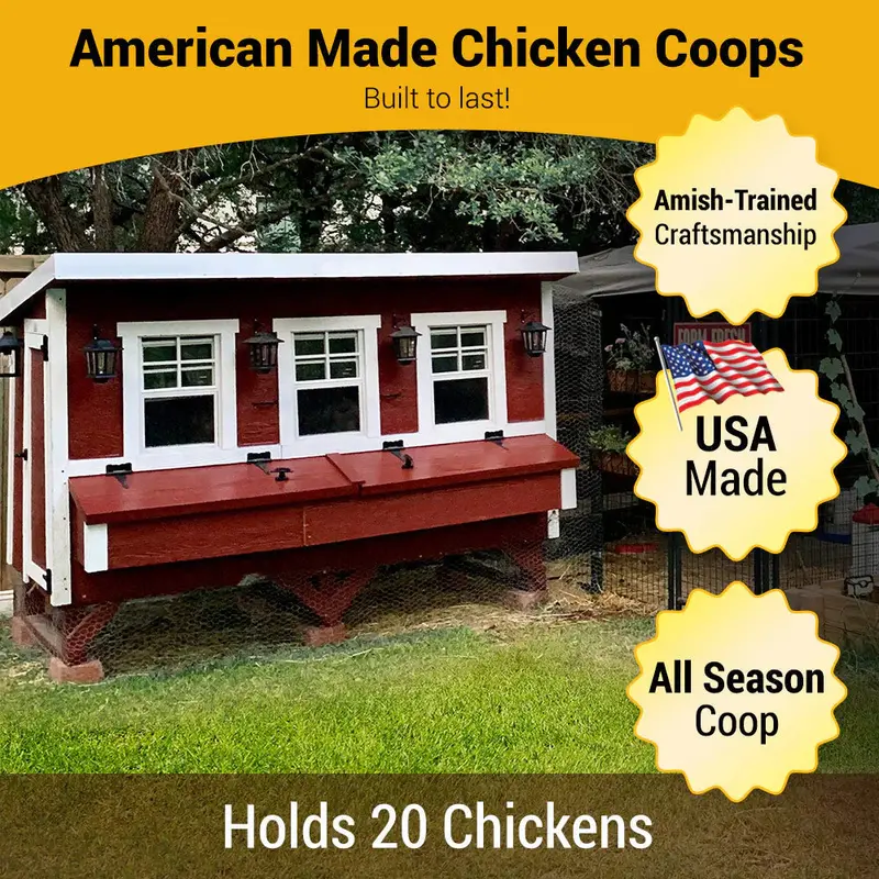 XL Chicken Coop by OverEZ – Spacious Housing for Up to 20 Chickens